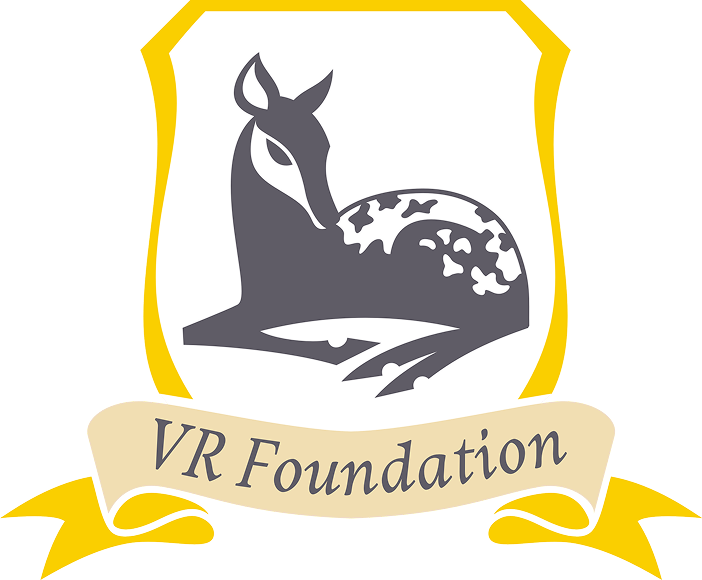 VR Foundation